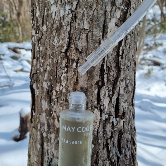 Embrace Nature's Secret: The Wonders of Maple Sap in Skincare
